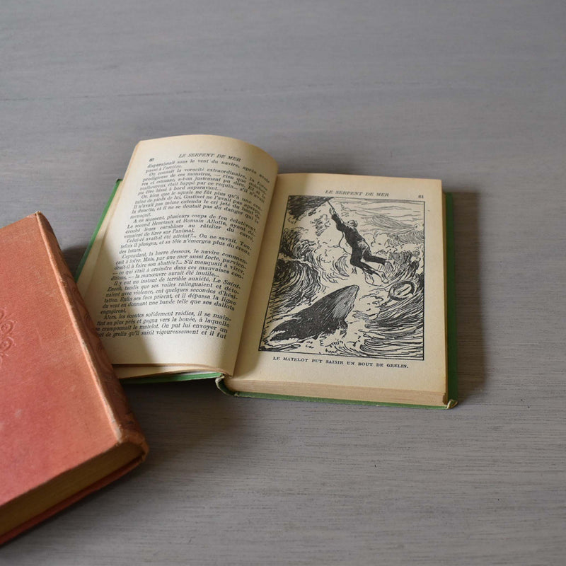 Vintage Book - Jules Verne Le Serpent de Mer