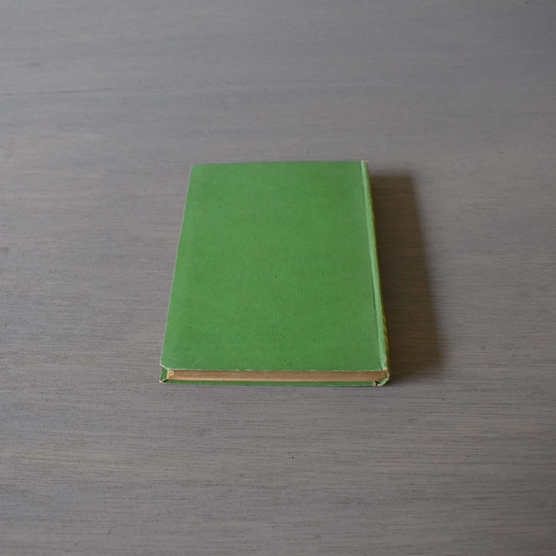 Vintage Book - Jules Verne Le Serpent de Mer