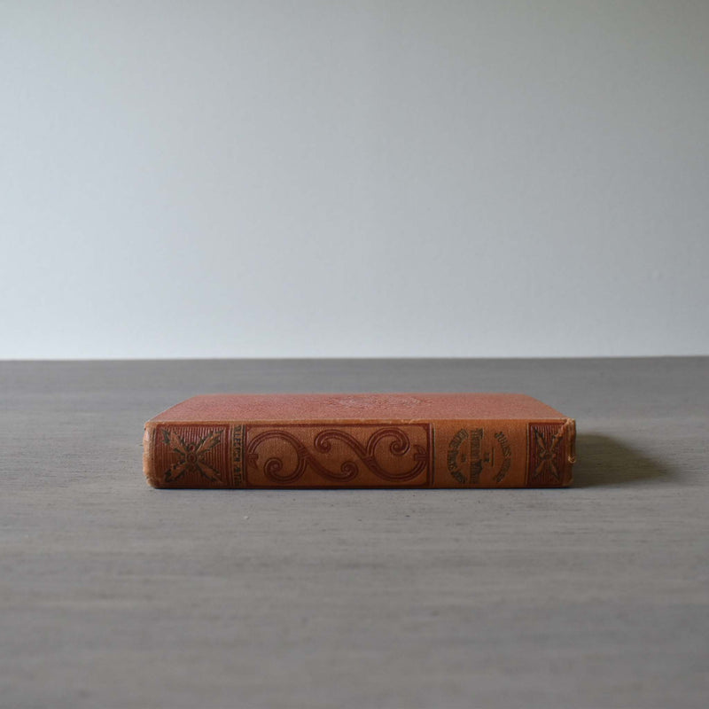 Antique book: Jules Verne Around the World in Eighty Days