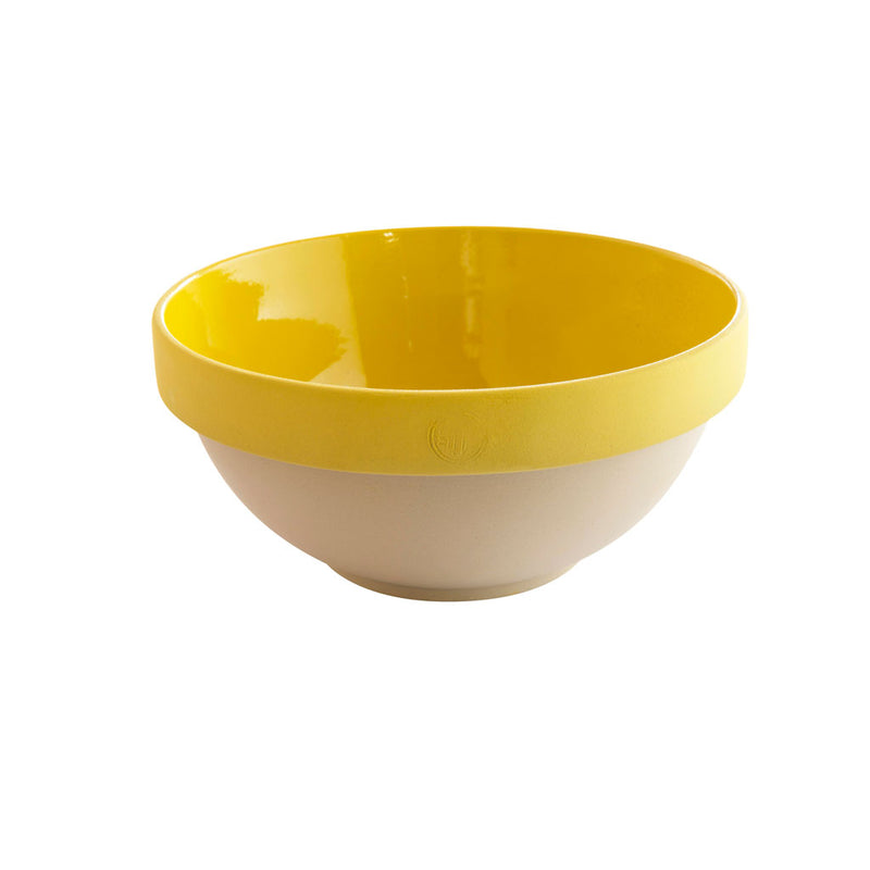 ディゴワン　パリのボウルN30　イェロー　切り抜き