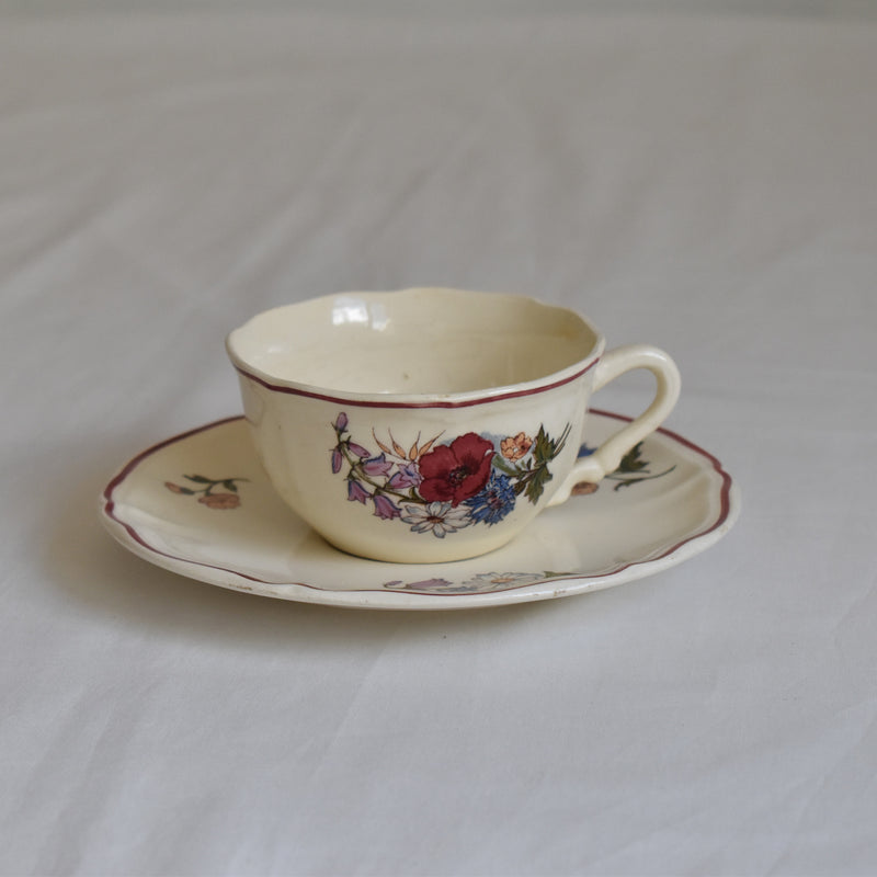 Vintage Cup & Saucer Digoin & Sarreguemines Agreste