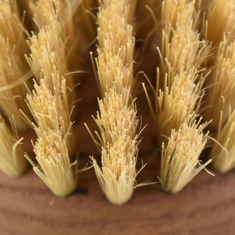 Andrée Jardin アンドレジャルダン　ボディブラシ　毛ズーム