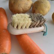 アンドレジャルダン　野菜用ブラシ　毛側