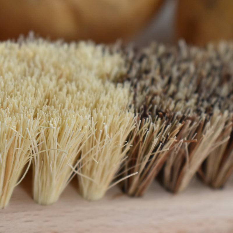 アンドレジャルダン　野菜用ブラシ　毛