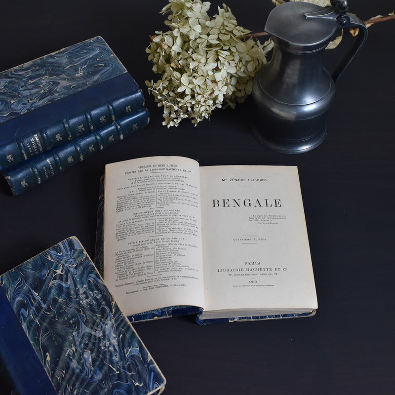 Antique book: Bengale