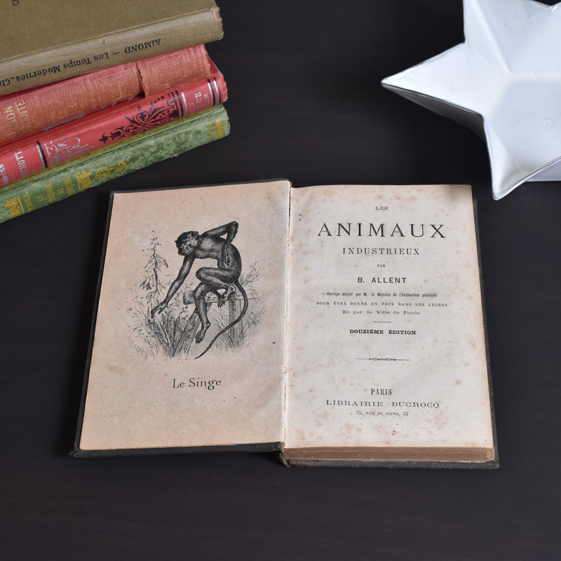 Antique book: Les animaux Industrieux