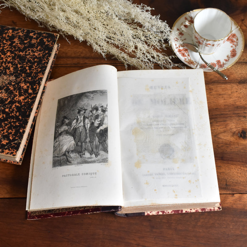 アンティーク本 moliere "Oeuvres completes tome 8"