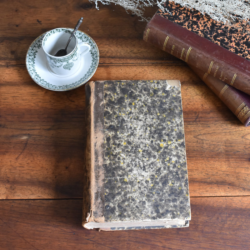 Antique book "Lois et Reglements des douanes"
