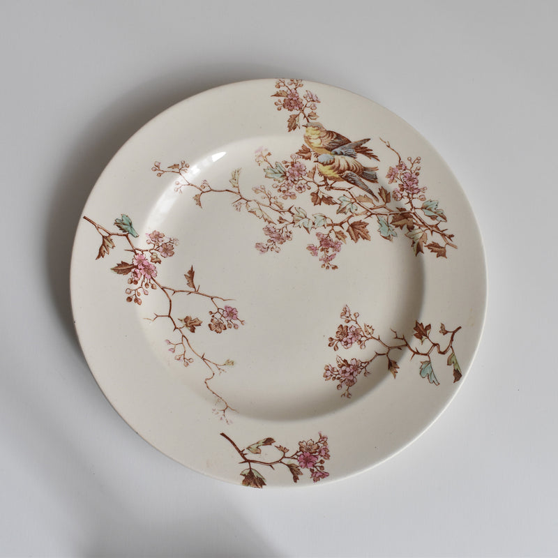 Antique Dessert Plate, Lunéville Fauvette B