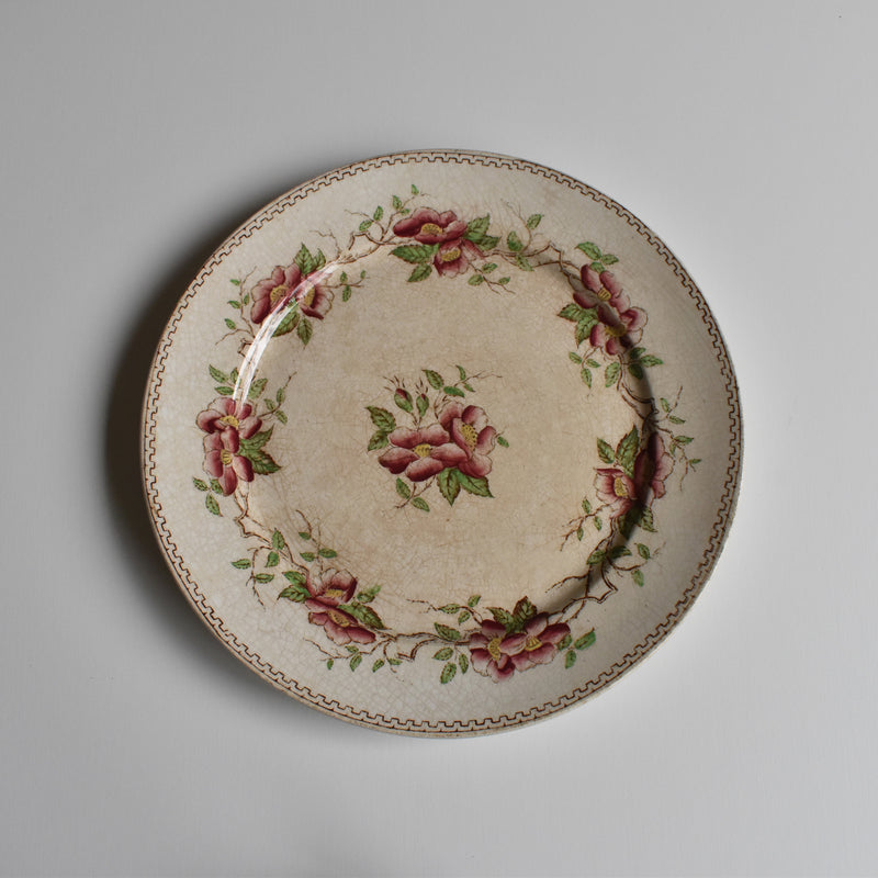 Antique dessert plate U&C Sarreguemines Eglantier A