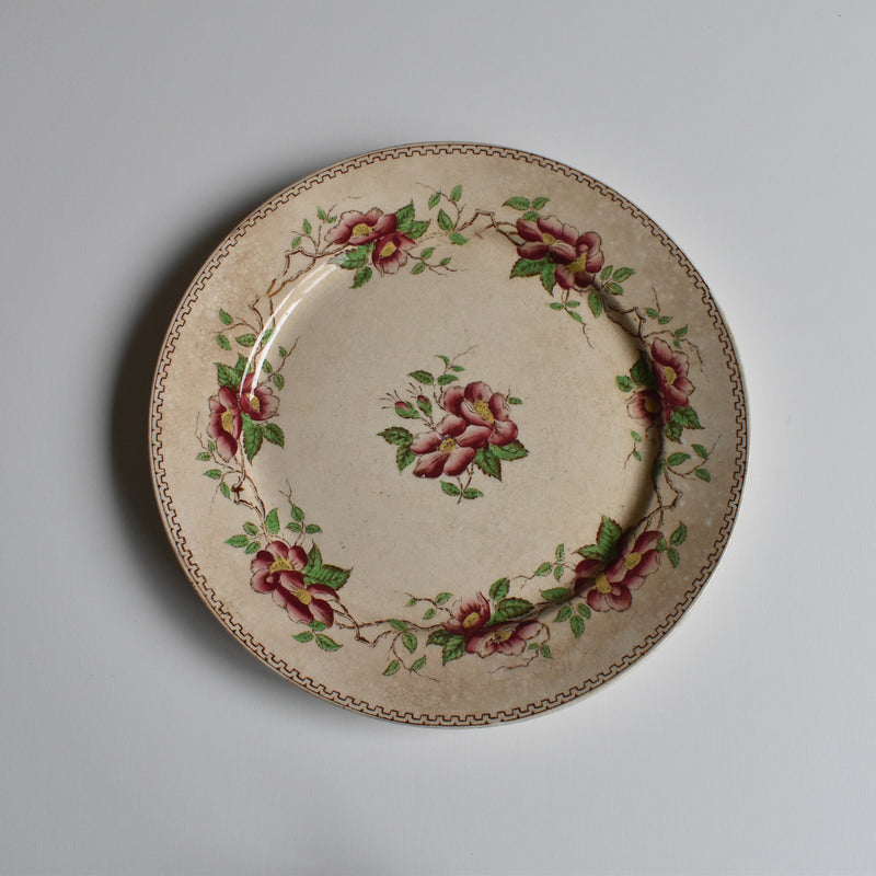 Antique Dessert Plate, U&C Sarreguemines Eglantier B