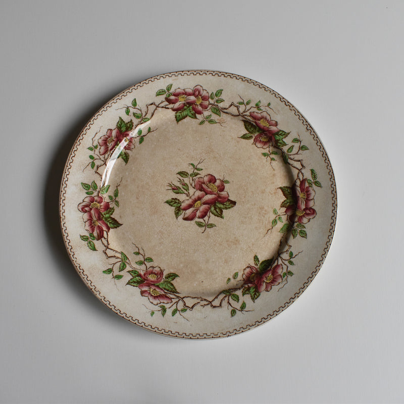 Antique Dessert Plate, U&C Sarreguemines Eglantier C