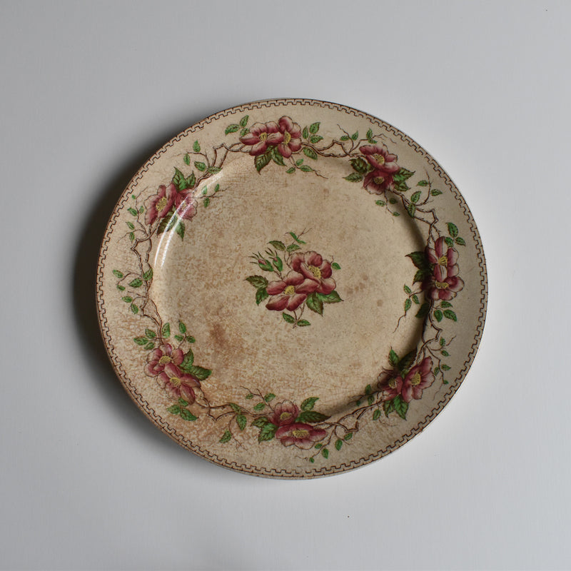 Antique Dessert Plate U&C Sarreguemines Eglantier D