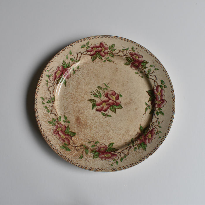 アンティークデザートプレート U&Cサルグミンヌ Eglantier D