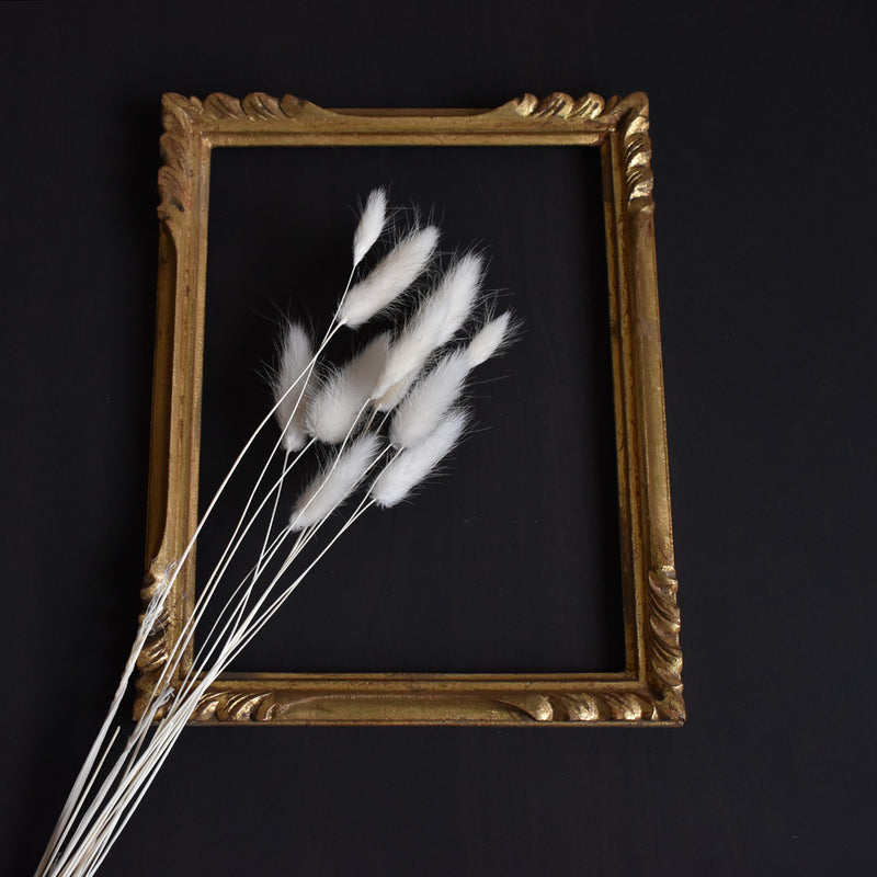 Antique Frame - Gold A