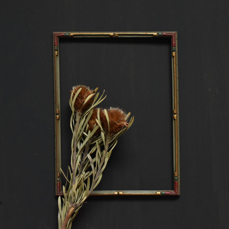 Antique Frame, Multi-colored B