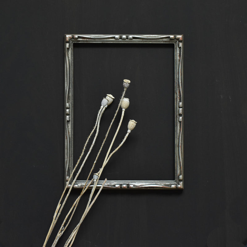 Antique Frame, Silver B