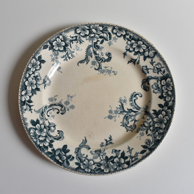 Antique plate, Choisy-le-Roi, Wild Rose