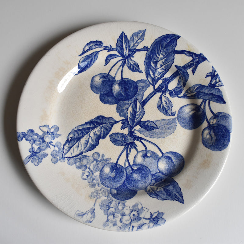 Vintage Plate Gien Primrose Bordier B