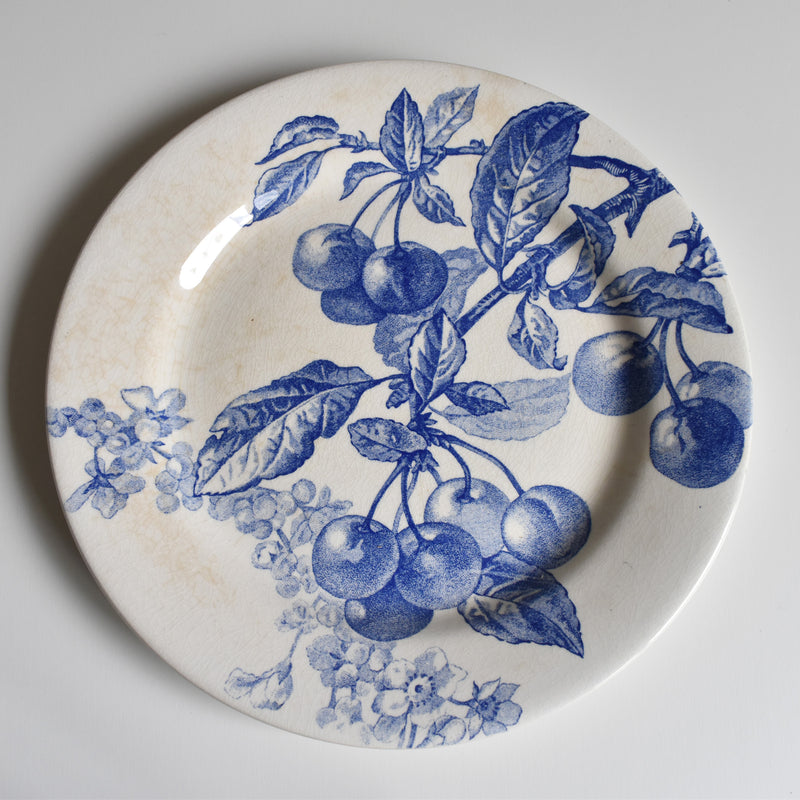 Vintage Plate Gien Primrose Bordier A