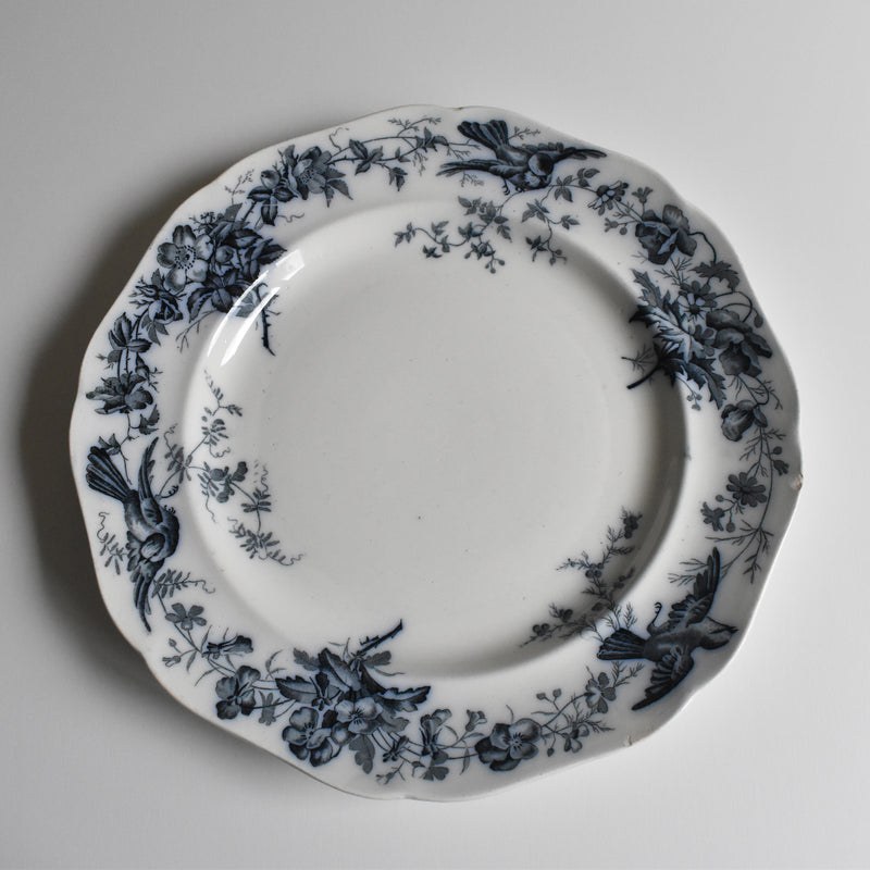 Antique Plate BWM&Co (E.Bourgeois) Indiana B