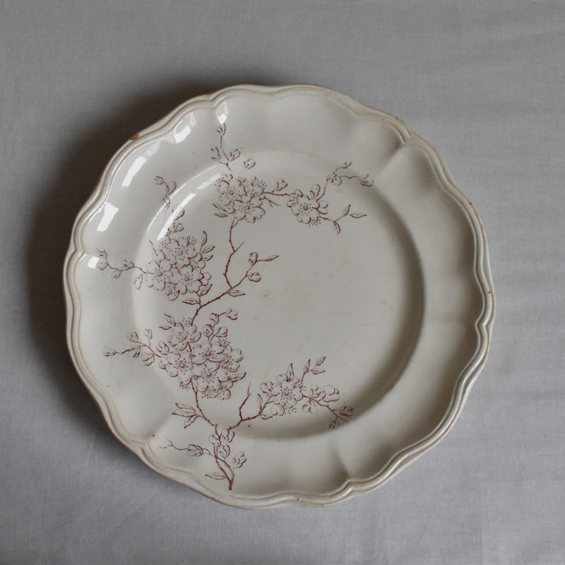 Antique Plate - Longchamp Pommier (Apple Tree)