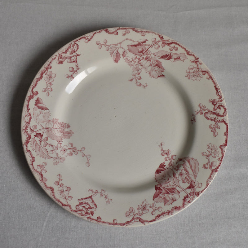 アンティークプレート  リュネヴィル　Fontainebleau C