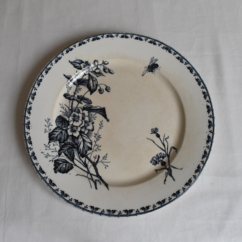 Antique Plate - U&C Sarreguemines "Carmen B"