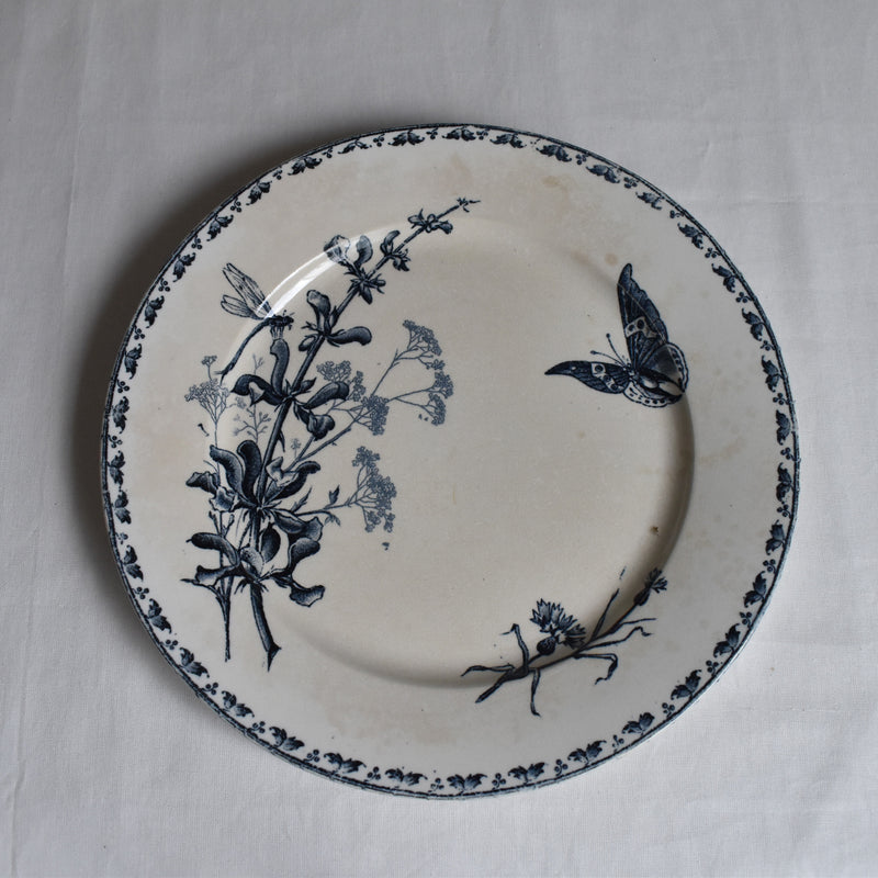 Antique Plate - U&C Sarreguemines Carmen C