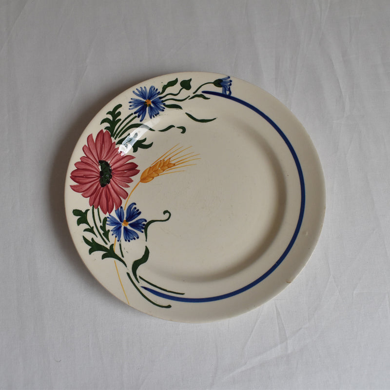 Vintage Dessert Plate, Sarreguemines Messidor D