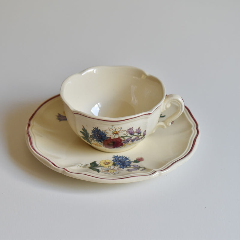 Vintage Cup and Saucer Digoin & Sarreguemines Agreste B