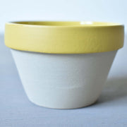 ディゴワン　ココット　イェロー　ディテール