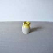 ディゴワン　ピッチャーN5　イェロー　全体