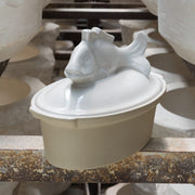 ディゴワン　テリーヌ　魚　白 イメージ