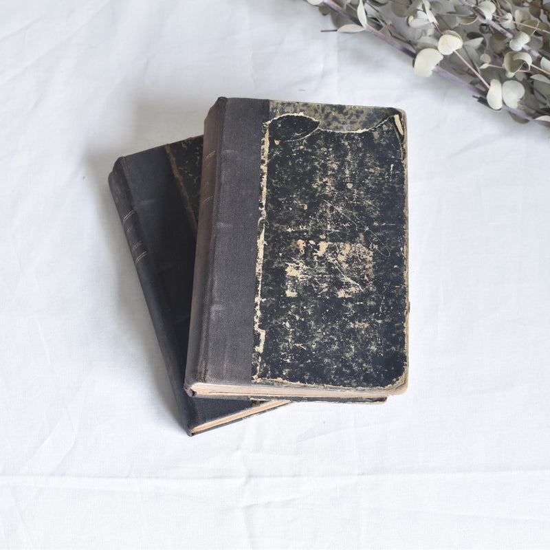 Antique Books - Set of 2