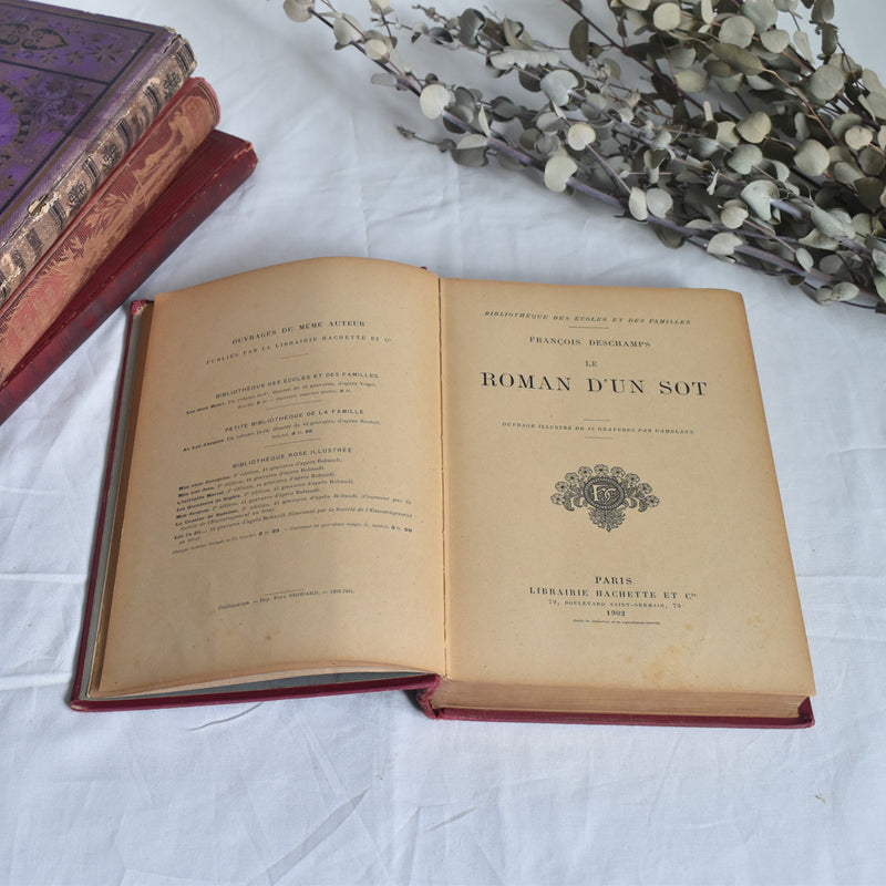 Antique Book - Le Roman d'un Sot