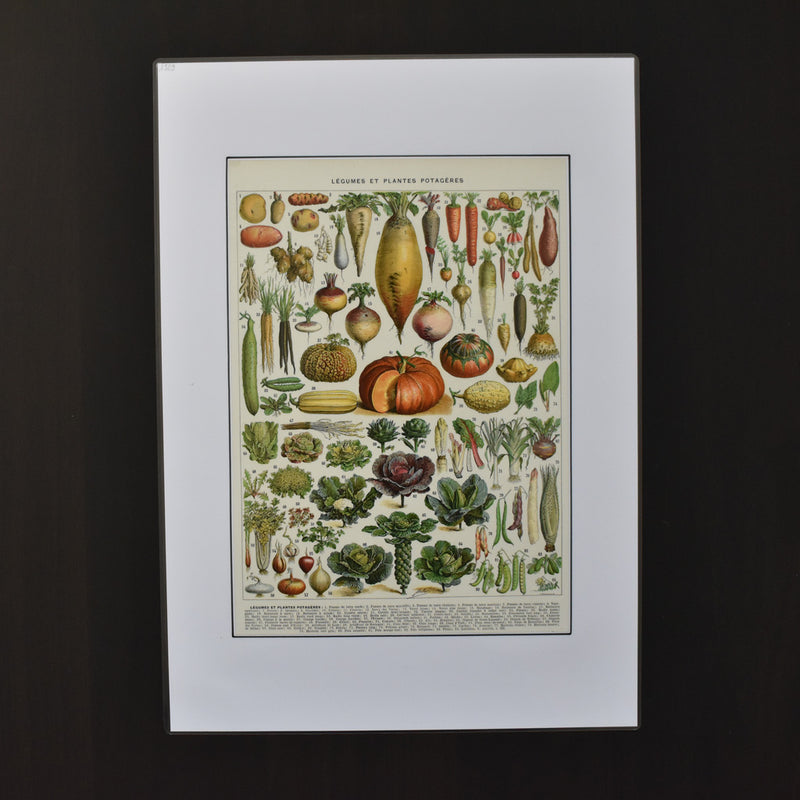 Vintage Larousse Illustration - Legumes (Vegetables)