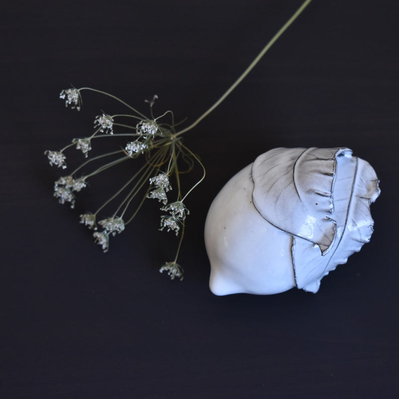 レーヴダルジル  Reves d'argile 陶器レモン　フランス製陶器